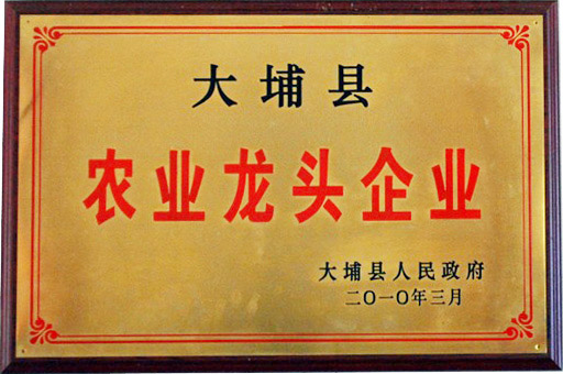 大埔縣農業龍頭企業